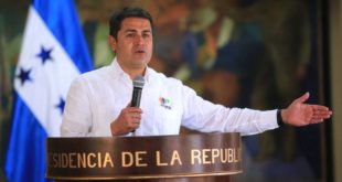 Presidente Hernández: Incentivo a la  producción agrícola y ganadera sigue siendo prioridad