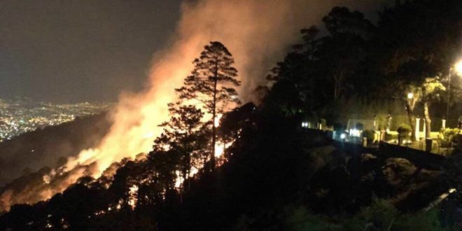 Incendio consume 30 hectáreas de bosque de pino en Tegucigalpa