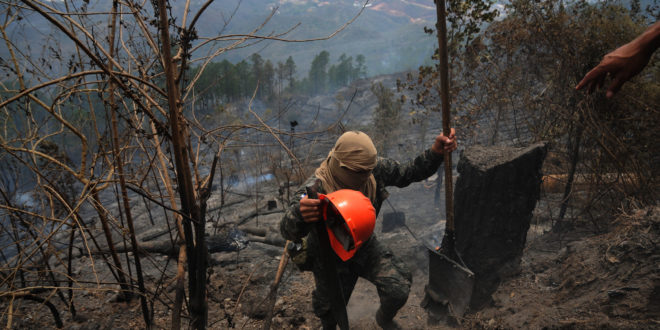 Copeco: extinguido en su totalidad incendio en El Hatillo