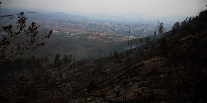 El Comisionado Nacional de los Derechos Humanos (CONADEH), exhortó al pueblo y las autoridades hondureñas. A ambos a denunciar y aplicar todo el peso de la ley a los incendiarios del bosque. El titular del ente estatal, Roberto Herrera Cáceres, considera que deben tomar conciencia del peligro que representan los incendios forestales. Para la vida y la salud de todos los que habitan este país. Los incendios forestales, que cíclicamente se registran en el país, ocasionan graves daños a la salud de las personas. Asimismo incalculables pérdidas en la economía nacional, por lo que reiteró su llamado. Para que la gente denuncie a los incendiarios del bosque y a todos los que se dedican a ese ilícito. Según el ente estatal, el fuego más dañino contra la población en general, son los incendios forestales. Ya que se convierten en un atentado contra las fuentes de agua y las cuencas de Honduras. Lamentó que los incendios forestales, la tala ilegal y otras graves amenazas ambientales, como el gorgojo descortezador. Todos están destruyendo los bosques, arruinando los hábitats naturales y la diversidad biológica, causando deforestación, sequía y erosión del suelo. Asimismo contaminando el aire y la cantidad y calidad del agua que vitalmente se necesita. Advirtió que de continuar con la misma actitud de indolencia social, ante el deterioro del medio ambiente. Asimismo de la falta de una eficaz aplicación de las leyes y políticas de prevención, protección, control y sanción. Continuará reduciéndose la cantidad y la calidad de numerosos recursos. Y, bienes aprovechados directamente por la misma población para su subsistencia básica. “De seguir como hasta ahora, solo continuaremos acumulando factores que agravan problemas nacionales de pobreza. Además deterioro de recursos y agregándolos a los de violencia y delincuencia, corrupción e impunidad que ya sufrimos”, señaló. Agregó que este tipo de indeseados “cultivos”, han demostrado ser históricamente generadores de forzadas presiones sociales. Además de recrudecimiento de conflictos que el Estado debe saber prevenir y atender con la contribución de la misma sociedad. El ombudsman hondureño es del criterio que se debe trabajar en la prevención de los incendios forestarles, controlarlos. Y, en su caso, sancionar ejemplarmente a los incendiarios del bosque. Abogó porque se le ponga fin a la tala ilegal, a la caza prohibida y al tráfico ilícito de fauna y flora silvestre. Además, recomendó conservar, restablecer y usar sosteniblemente los bosques y montañas, entre otros, previniendo y deteniendo la deforestación. Rehabilitando las tierras y los suelos degradados y las tierras afectadas por la sequía. “Tenemos que modificar nuestras pautas de comportamiento, aceptar nuestras responsabilidades de los efectos ambientales de nuestras actividades. Y evitar que otros habitantes tampoco dañen el medio ambiente”, precisó. Según Herrera Cáceres, el gobierno debe velar por hacer posible el desarrollo sostenible, con un enfoque integral. Y racional que requiere esfuerzos simultáneos en lo ambiental, económico, social y político, asegurando la efectiva aplicación coherente de las políticas y las leyes correspondientes.