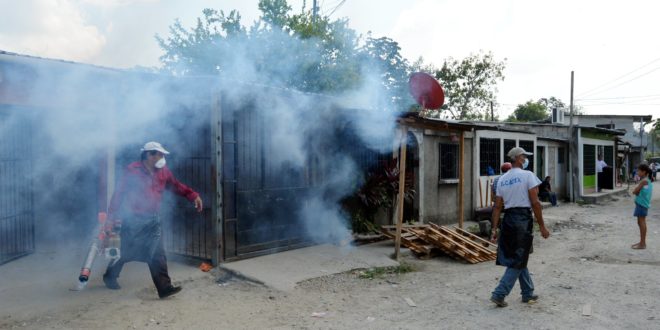 OPS respalda la lucha de Honduras contra el dengue