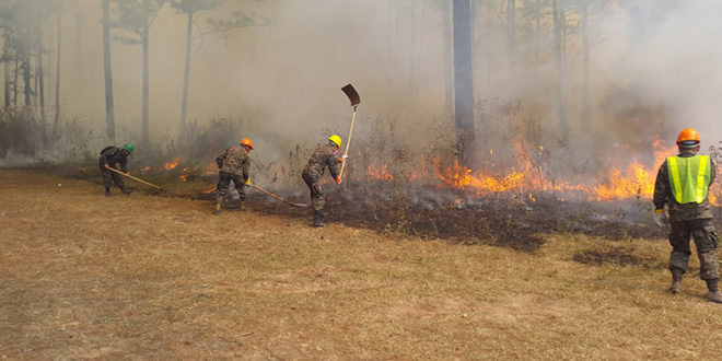 Incendios forestales