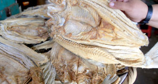 Fiscalía decomisa 228 libras de pescado seco en mal estado