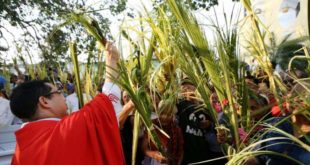 Feligreses de Tegucigalpa y SPS celebran el Domingo de Ramos