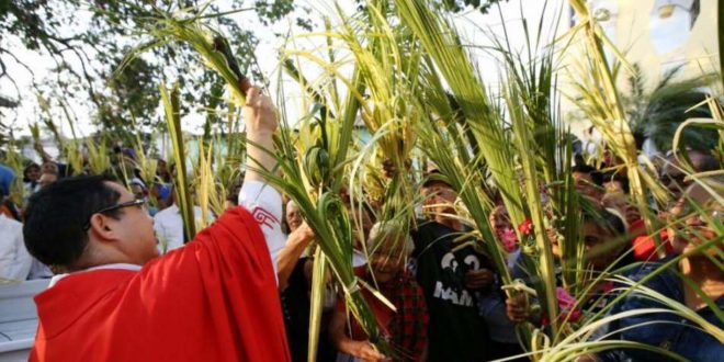 Feligreses de Tegucigalpa y SPS celebran el Domingo de Ramos