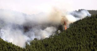 Incendios forestales se intensifican en Honduras