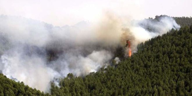 Incendios forestales se intensifican en Honduras