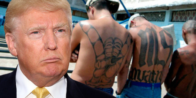 ¿Es de verdad la MS-13 el peor enemigo de EE.UU.?