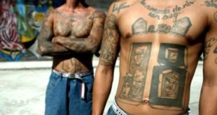 Honduras: Confirman fuga de 22 miembros de la pandilla 18