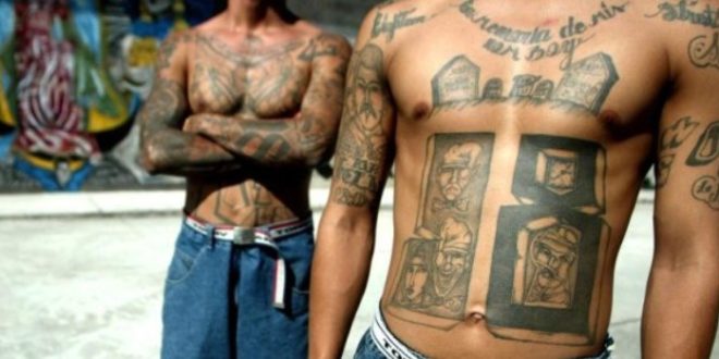 Honduras: Confirman fuga de 22 miembros de la pandilla 18