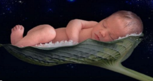 Bebé en el espacio