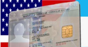 ID consular