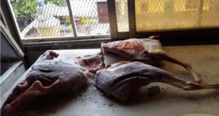 Conadeh pide celeridad en investigación sobre carne decomisada restaurante chino