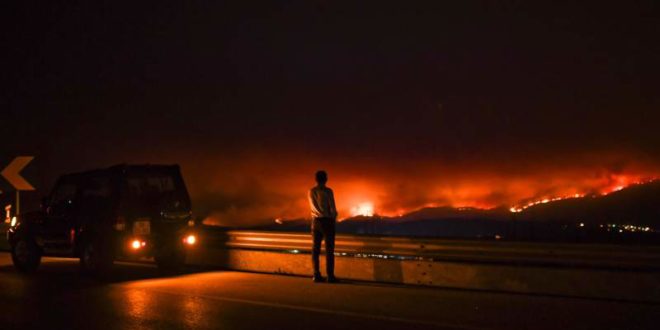 Incendio forestal deja 62 muertos en Portugal