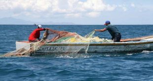 Pesca artesanal genera Lps. 100 millones, según la SAG