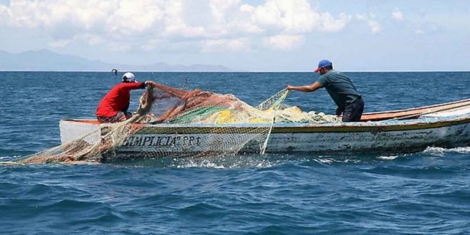 Pesca artesanal genera Lps. 100 millones, según la SAG