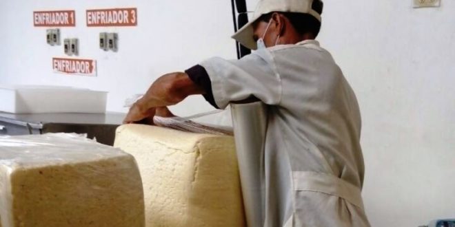 Fiscalía inspecciona venta de productos lácteos en Comayagua