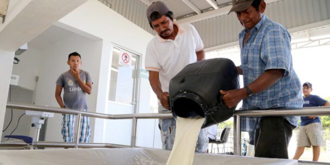 Fenagroh: L 1.50 bajará litro de leche