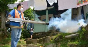 Fumigan sector suroeste de San Pedro Sula para prevenir enfermedades