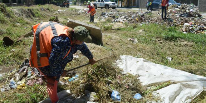 Municipalidad Sampedrana intensifica jornada de lucha contra el dengue