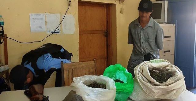 Realizan allanamientos en Comayaguela Talanga y Guaimaca