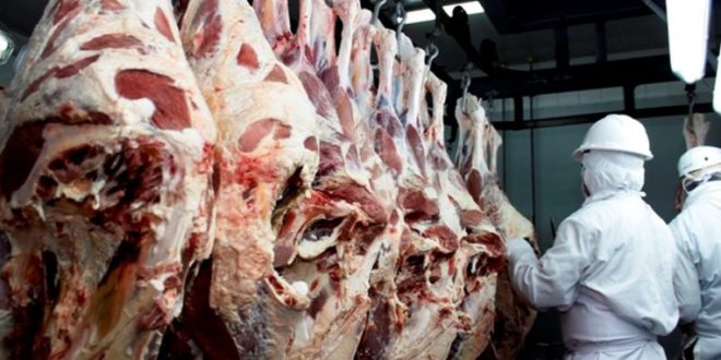 Defensora de los consumidores: Es grosero el incremento de L8 a la libra de carne de cerdo