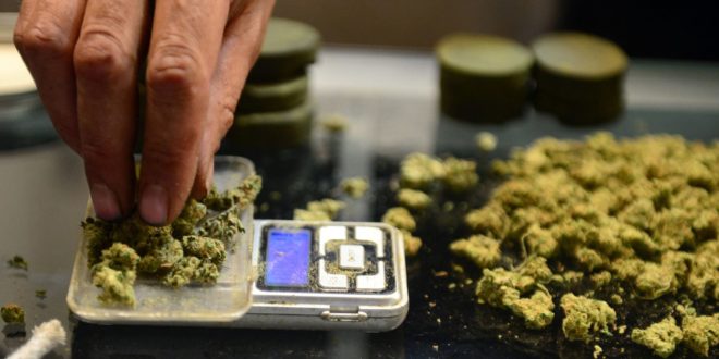 Perú aprueba el uso de la marihuana medicinal