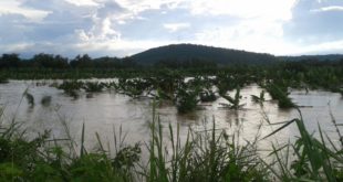 SAG ayudará a productores afectados por inundaciones