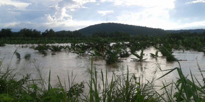SAG ayudará a productores afectados por inundaciones