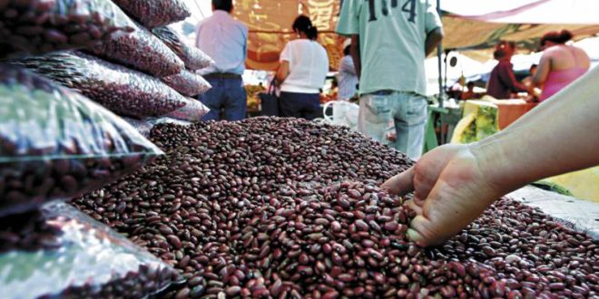 Mejoran producción de café y frijol en Copán y Choluteca