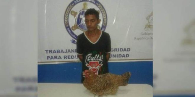 Por robarse una gallina capturan a hombre en Choluteca