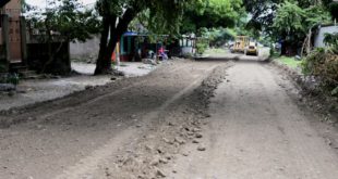 Alcaldía Sampedrana continúan trabajos en la red vial no pavimentada