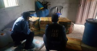Decomisan 13 fardos de cocaína en Gualaco, Olancho
