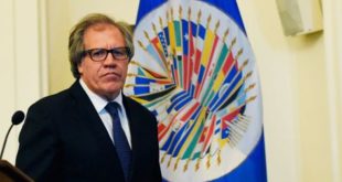OEA designará equipo técnico para diálogo en Honduras