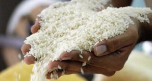 Fijan precio del arroz en Lps. 420 el quintal