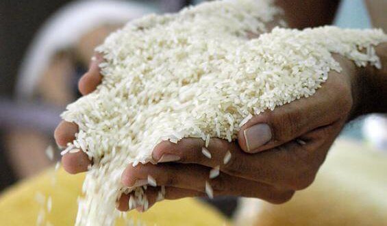 Fijan precio del arroz en Lps. 420 el quintal