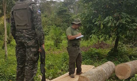 Operación Dragón II deja 50 detenidos en el Litoral Atlántico