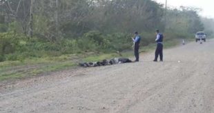 Masacre: Cuatro muertos en Catacamas, Olancho