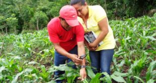 Honduras actualiza política y estrategia de Seguridad Alimentaria
