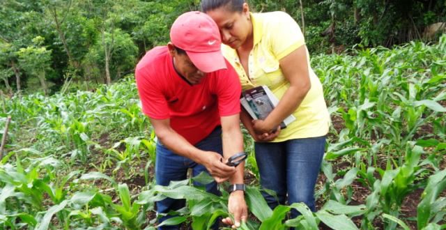 Honduras actualiza política y estrategia de Seguridad Alimentaria