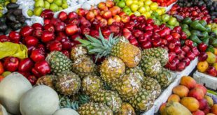 FAO: Centroamérica y República Dominicana promueven la fruticultura