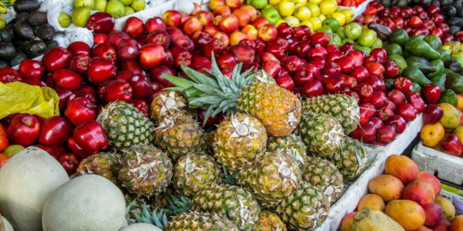 FAO: Centroamérica y República Dominicana promueven la fruticultura