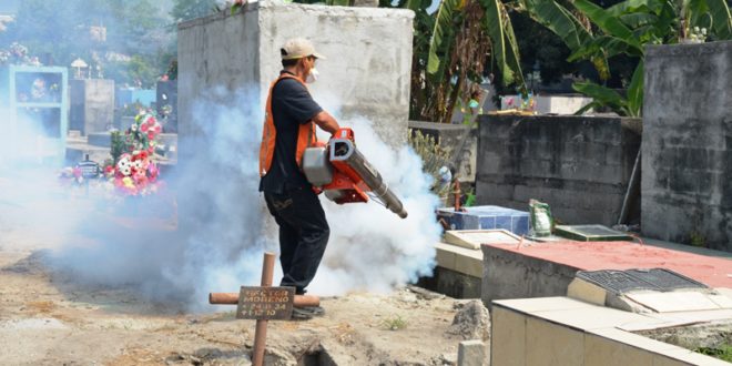 Alcaldía sampedrana realiza operativos de fumigación