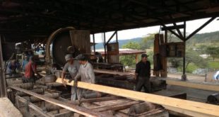 Honduras y UE acuerdan comercio legal de productos forestales