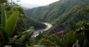 Honduras y la UE firmarán convenio sobre gobernanza forestal