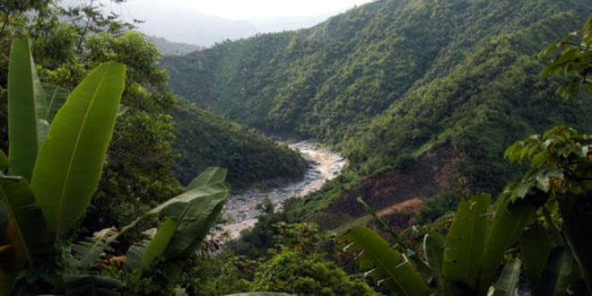 Honduras y la UE firmarán convenio sobre gobernanza forestal
