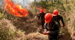 Honduras en alerta por incremento de incendios