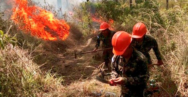Honduras en alerta por incremento de incendios