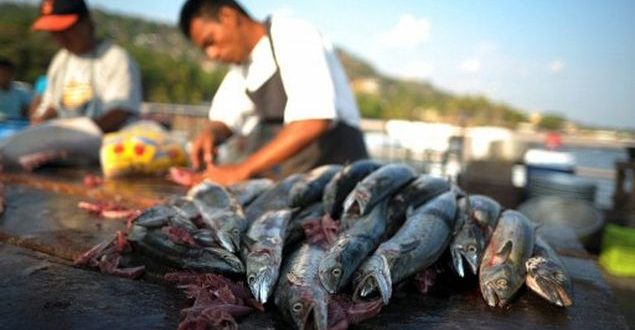 Consumo de pescado en América Latina crecerá 33% para 2030