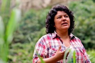 Crimen de Berta Cáceres no debe quedar impune: Secretaría de DDHH